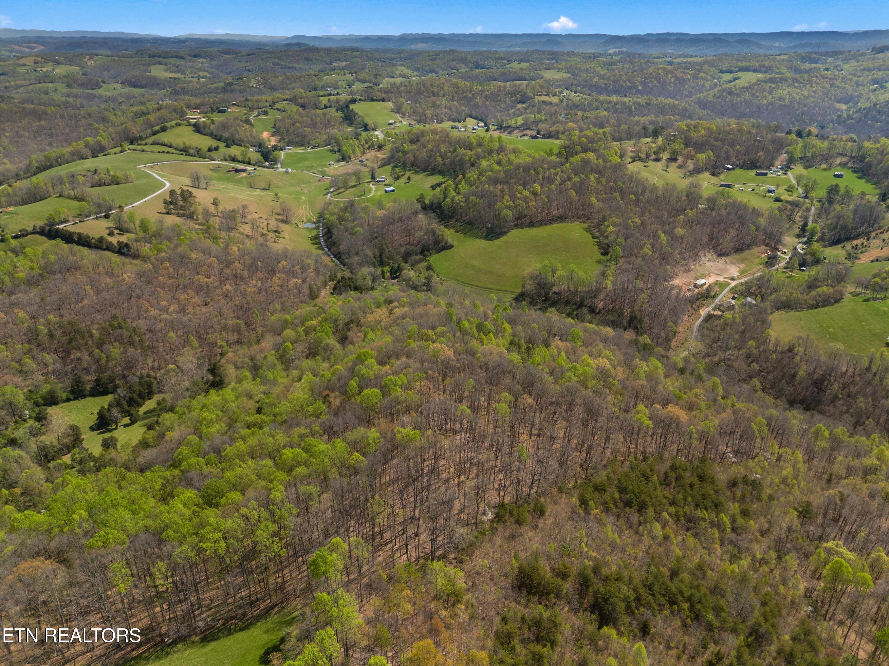 Greever Hollow Road Tazewell, TN 37879 - Photo 17 of 19 007-GreeverHollowRoad-Taswell-TN-37879-S