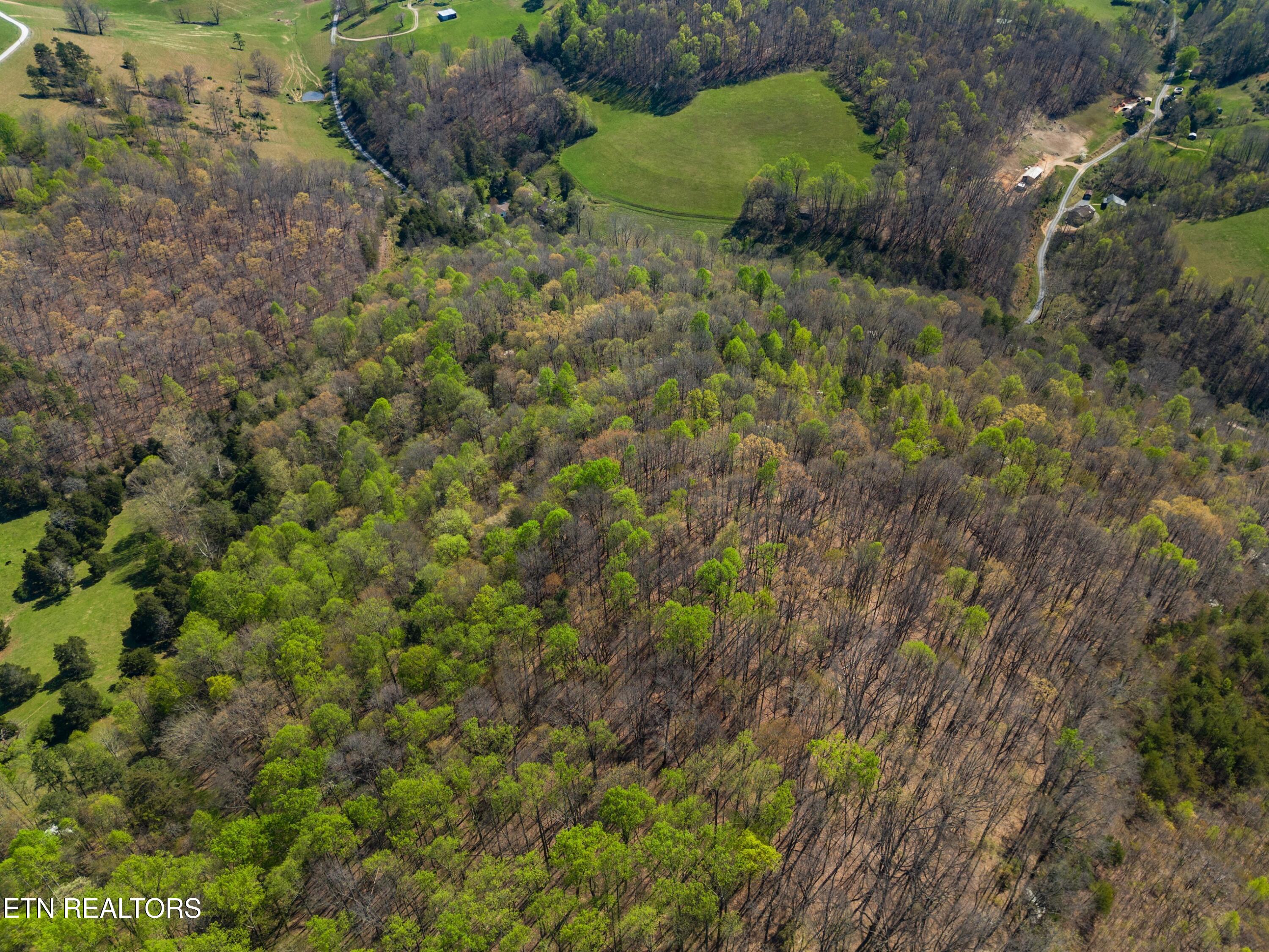 Greever Hollow Road Tazewell, TN 37879 - Photo 18 of 19 008-GreeverHollowRoad-Taswell-TN-37879-S