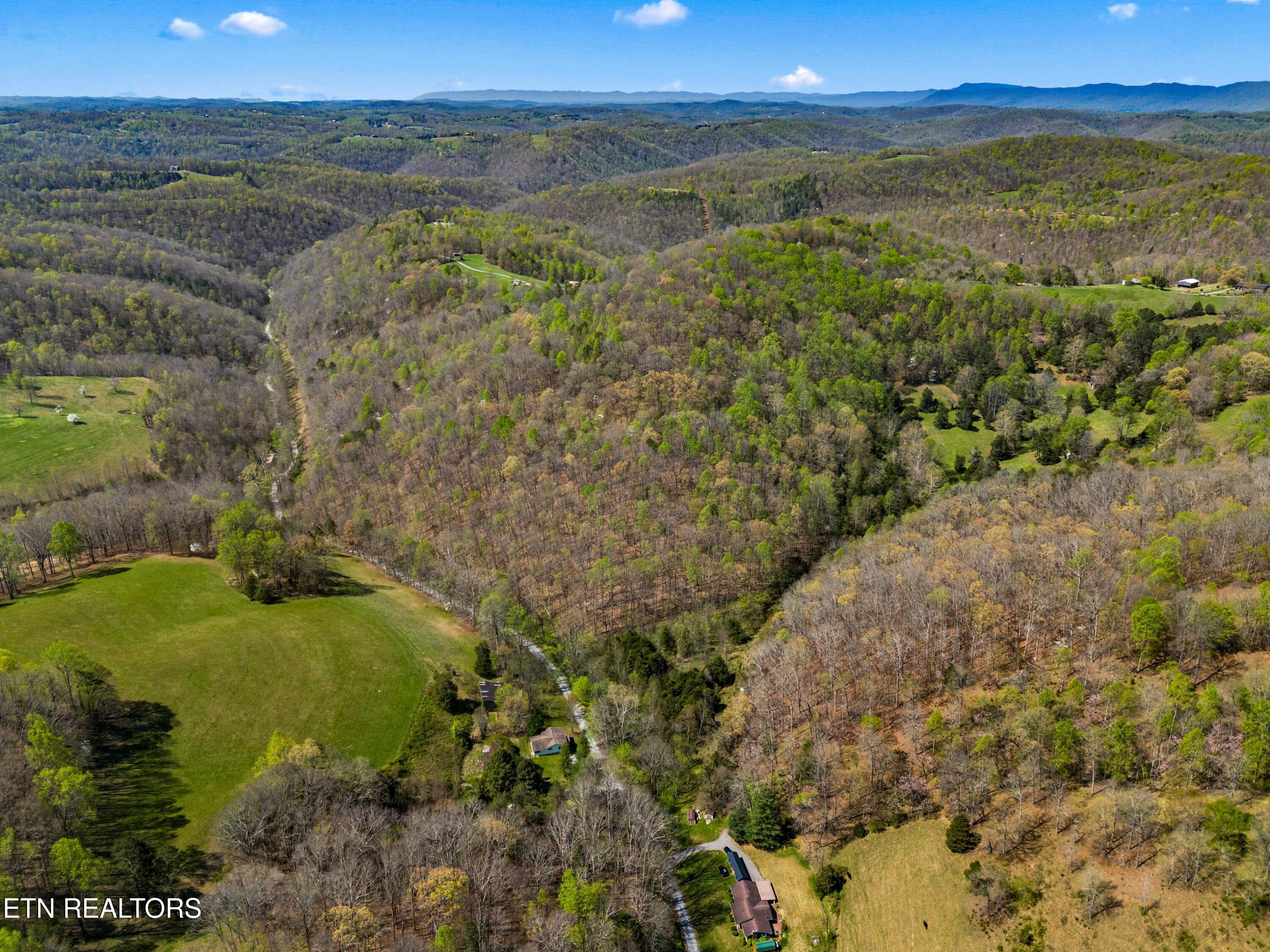 Greever Hollow Road Tazewell, TN 37879 - Photo 19 of 19 009-GreeverHollowRoad-Taswell-TN-37879-S