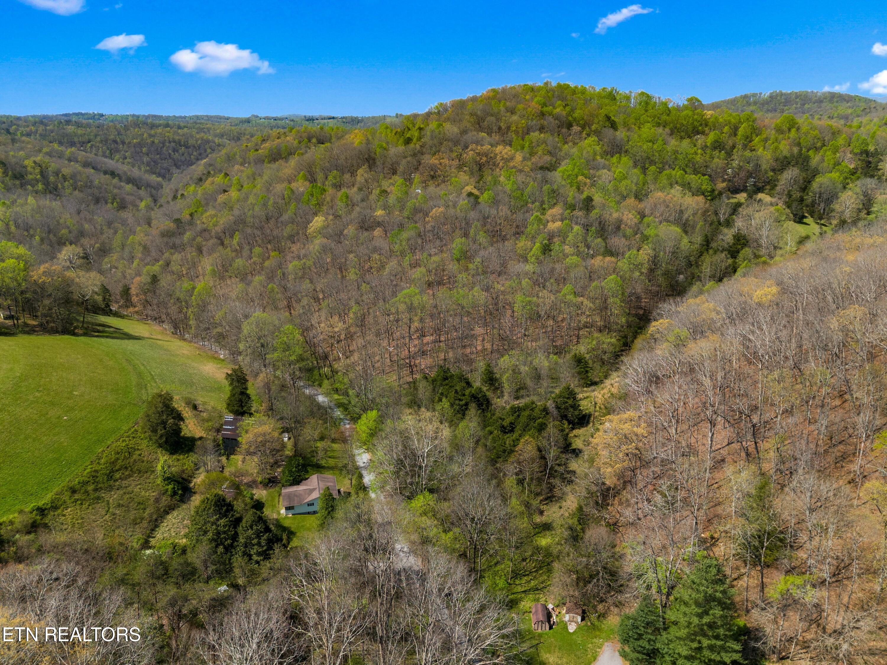 Greever Hollow Road Tazewell, TN 37879 - Photo 3 of 19 010-GreeverHollowRoad-Taswell-TN-37879-S