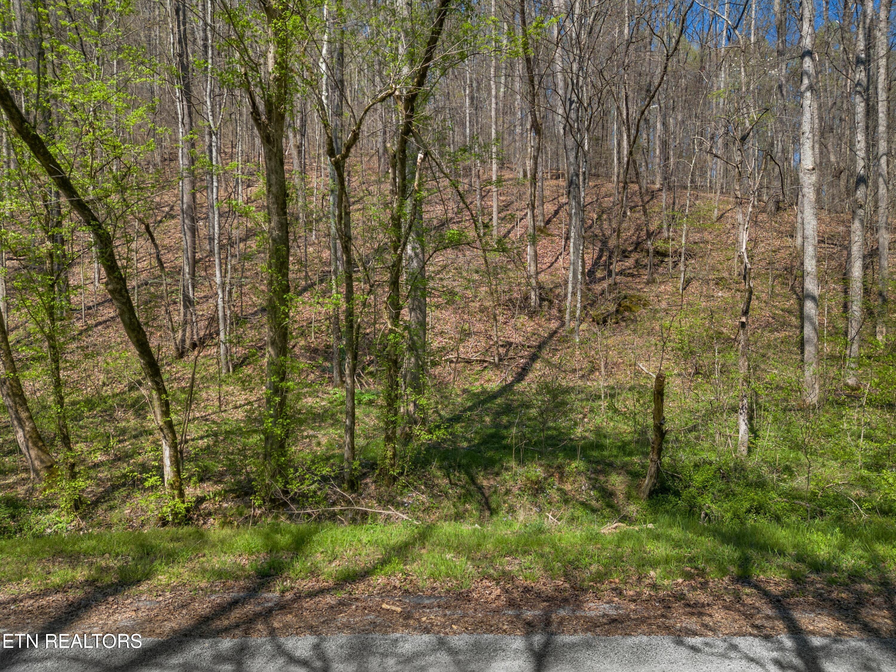 Greever Hollow Road Tazewell, TN 37879 - Photo 4 of 19 013-GreeverHollowRoad-Taswell-TN-37879-S
