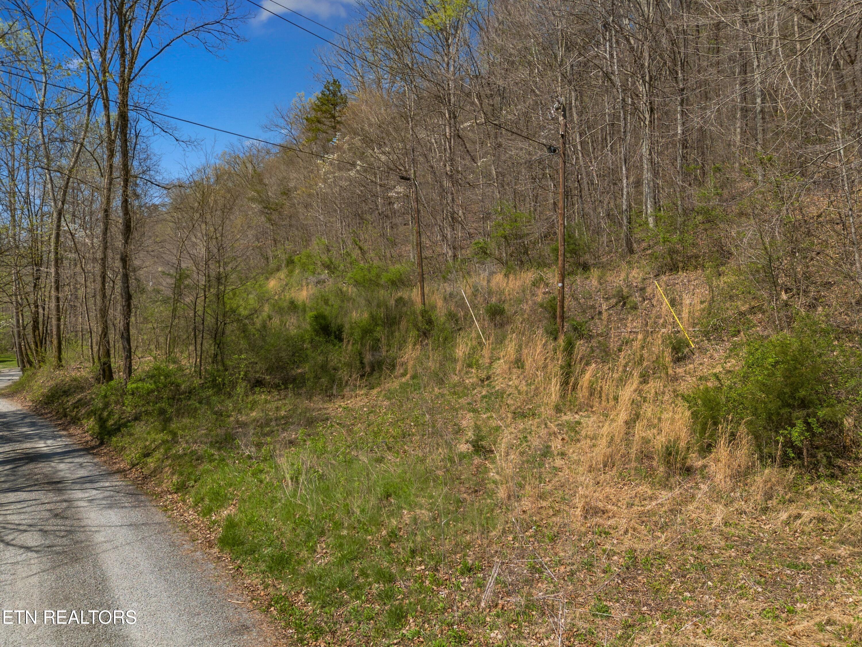 Greever Hollow Road Tazewell, TN 37879 - Photo 5 of 19 003-GreeverHollowRoad-Taswell-TN-37879-S