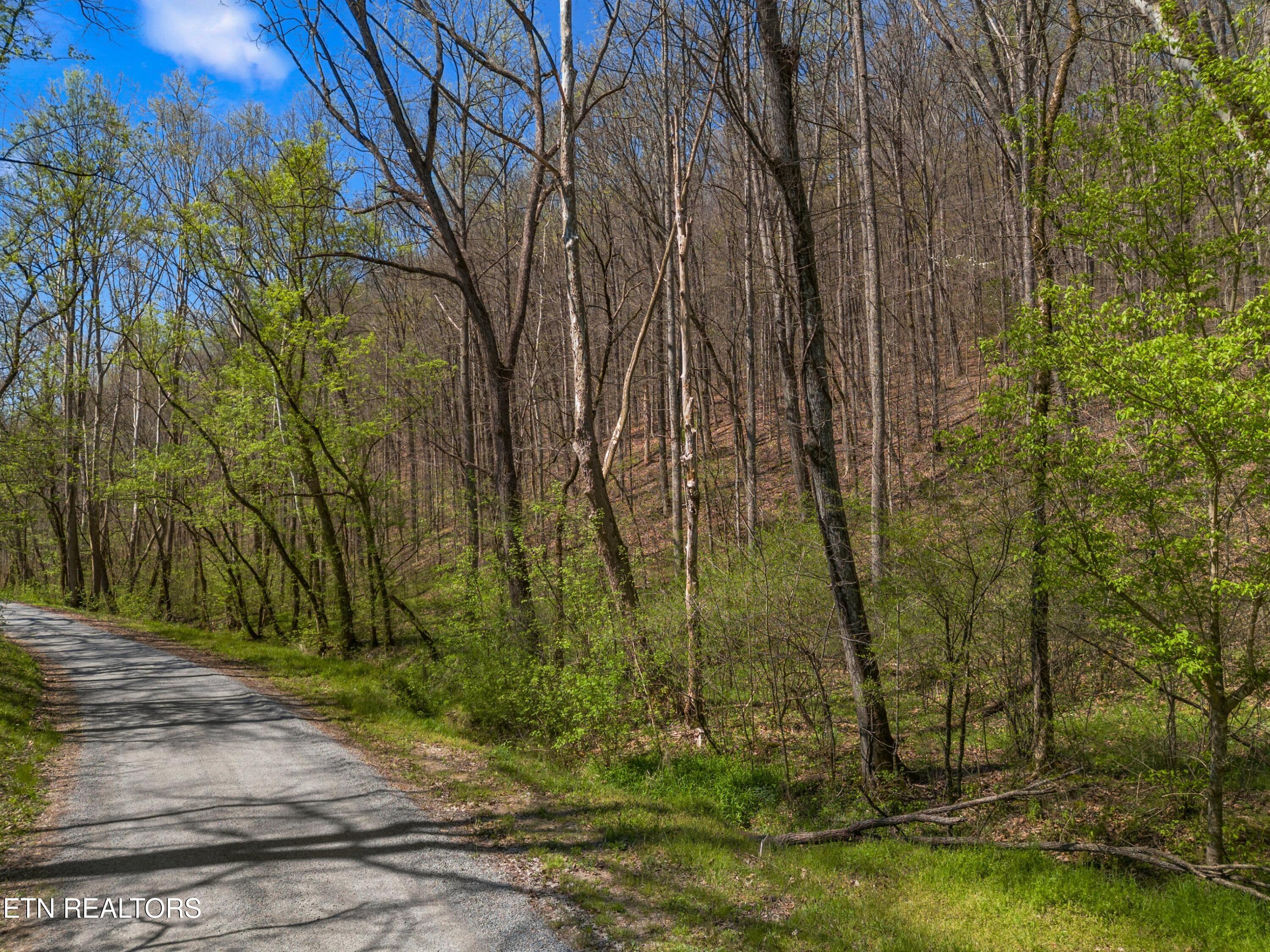Greever Hollow Road Tazewell, TN 37879 - Photo 6 of 19 011-GreeverHollowRoad-Taswell-TN-37879-S