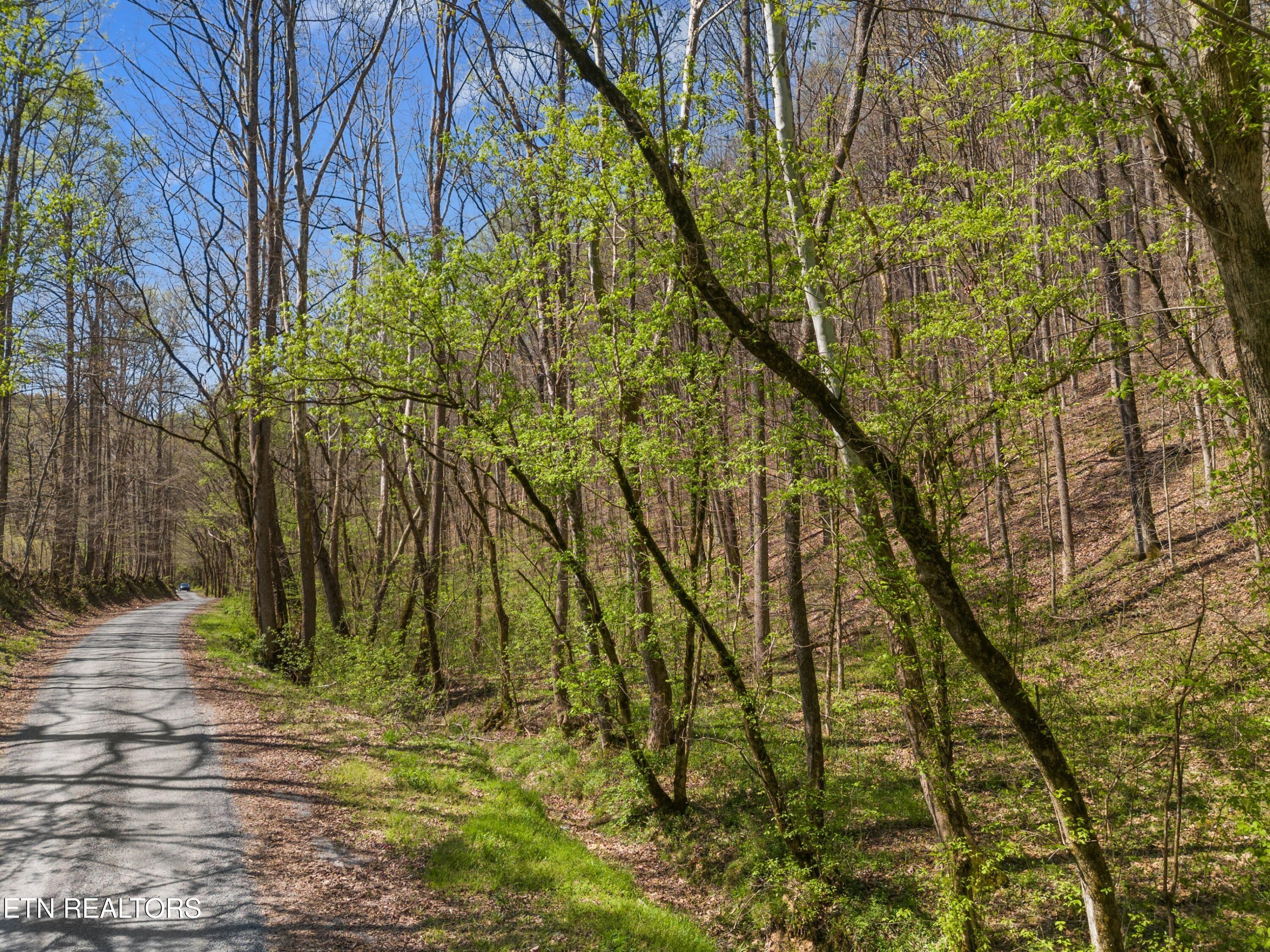 Greever Hollow Road Tazewell, TN 37879 - Photo 7 of 19 012-GreeverHollowRoad-Taswell-TN-37879-S