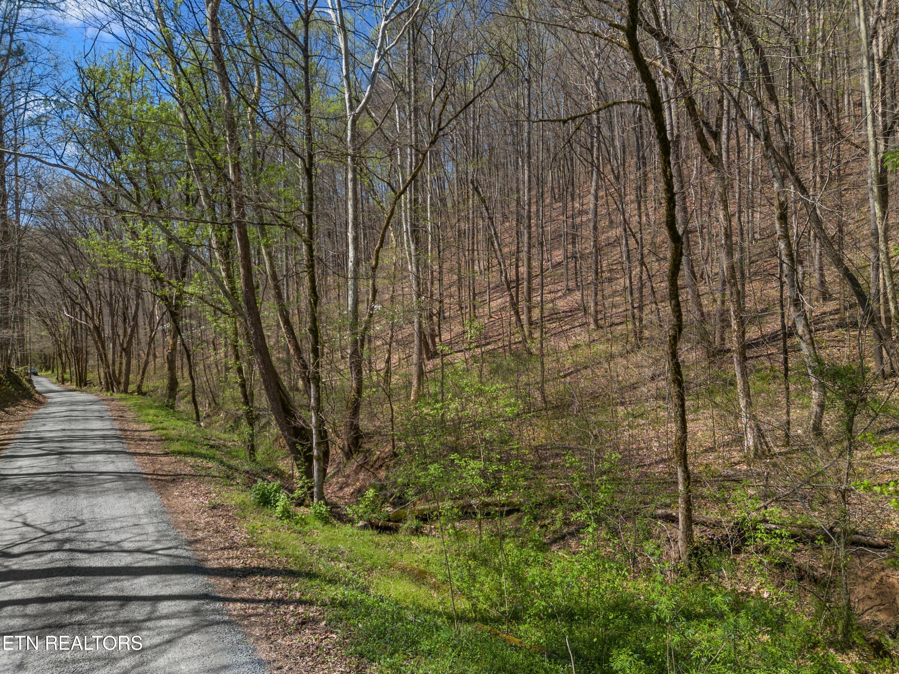 Greever Hollow Road Tazewell, TN 37879 - Photo 8 of 19 014-GreeverHollowRoad-Taswell-TN-37879-S