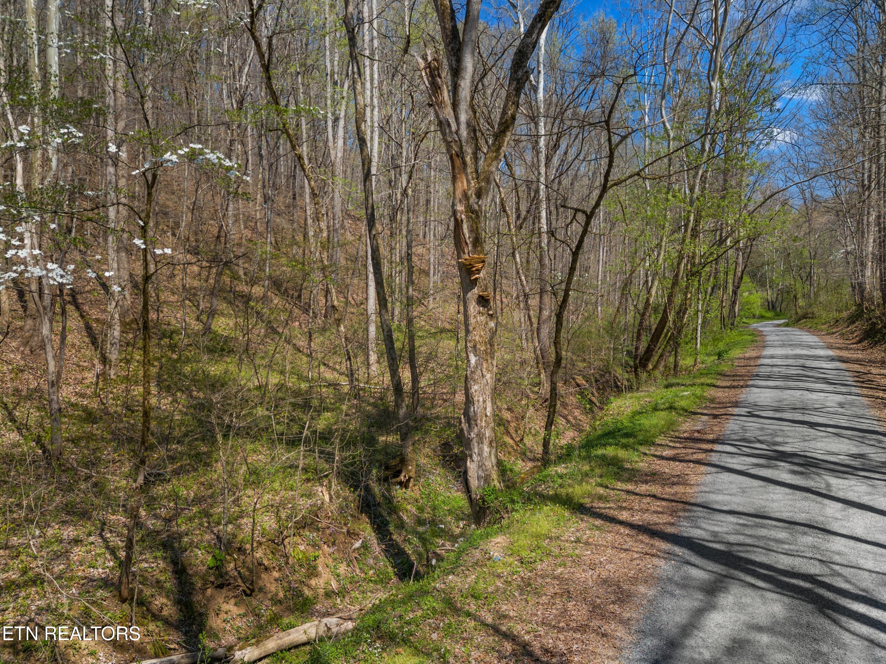 Greever Hollow Road Tazewell, TN 37879 - Photo 9 of 19 015-GreeverHollowRoad-Taswell-TN-37879-S
