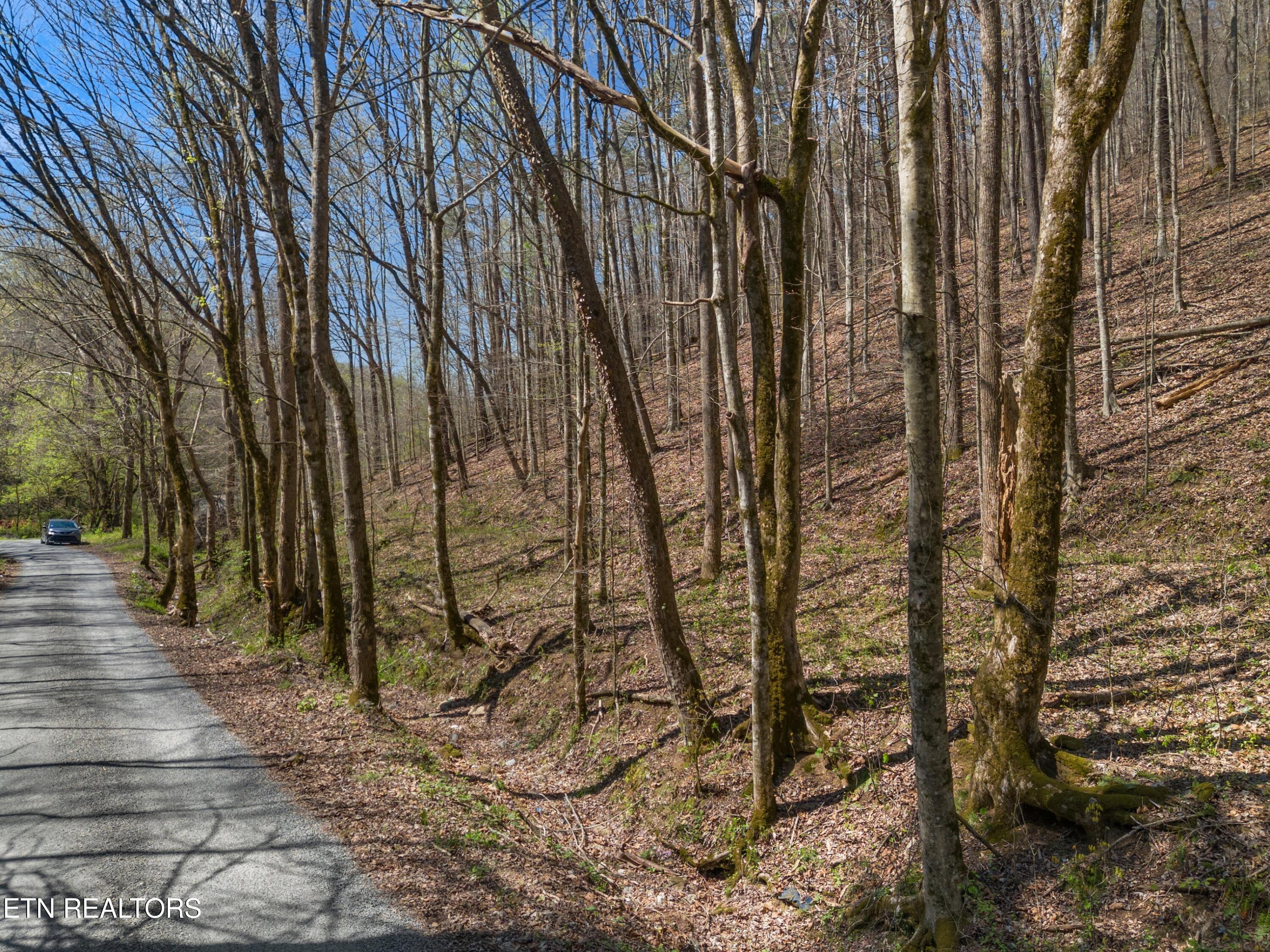 Greever Hollow Road Tazewell, TN 37879 - Photo 10 of 19 016-GreeverHollowRoad-Taswell-TN-37879-S