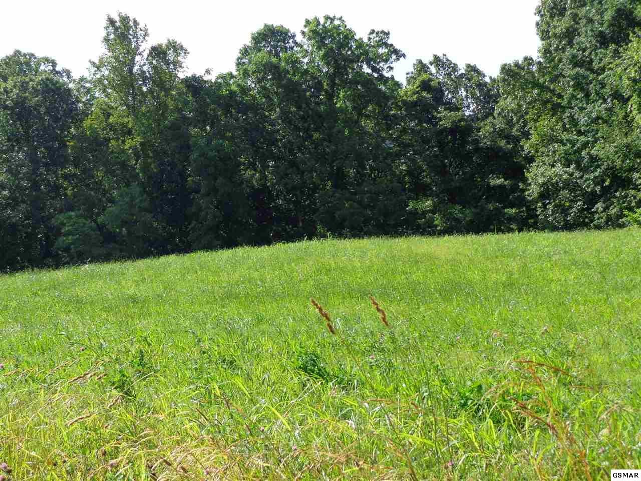 3003 Brotherton Road Jefferson City, TN 37760 - Photo 2 of 14 Gallery Image 2