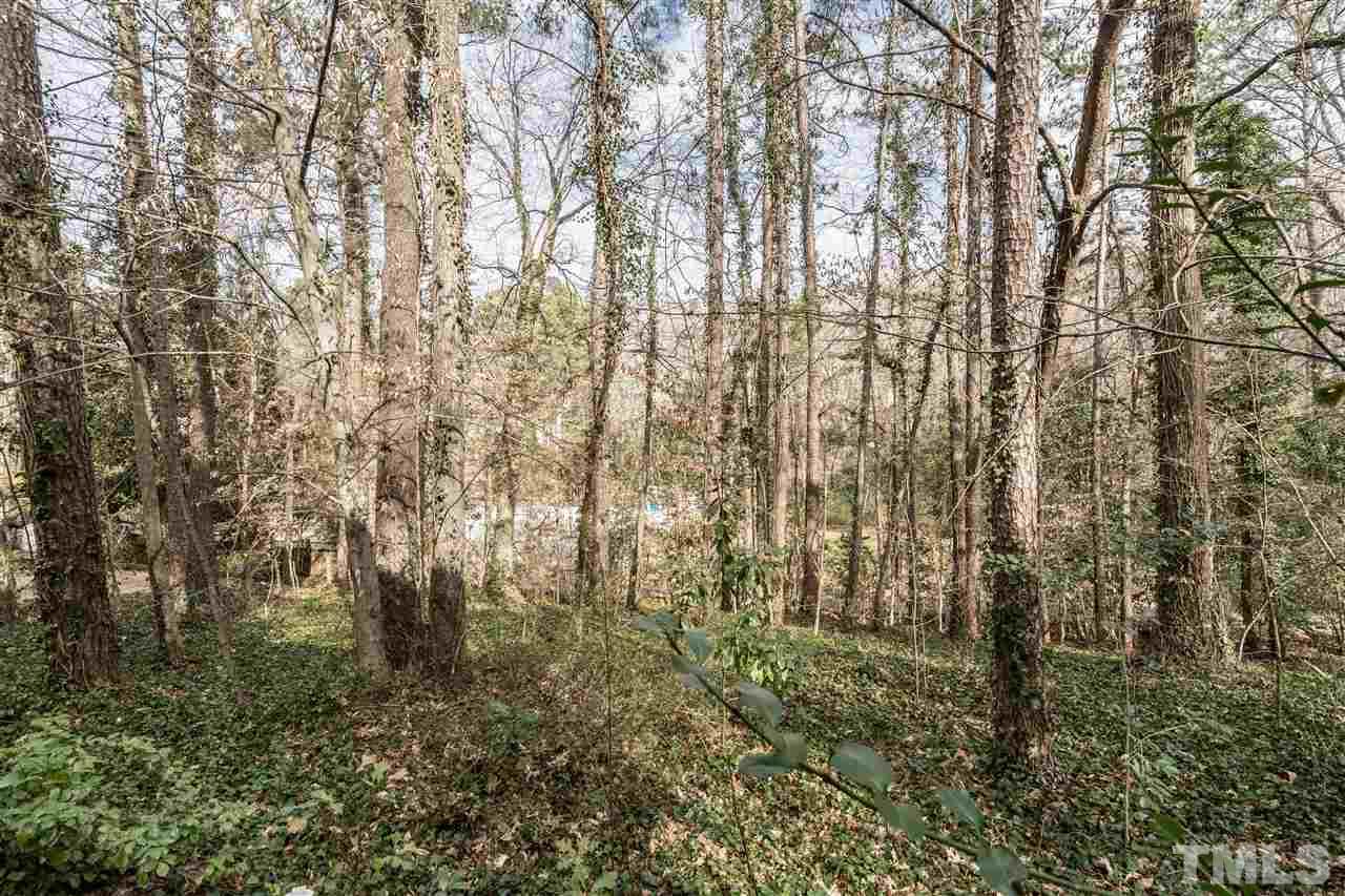 4516 Connell Drive Raleigh, NC 27612 - Photo 27 of 28 a view of forest