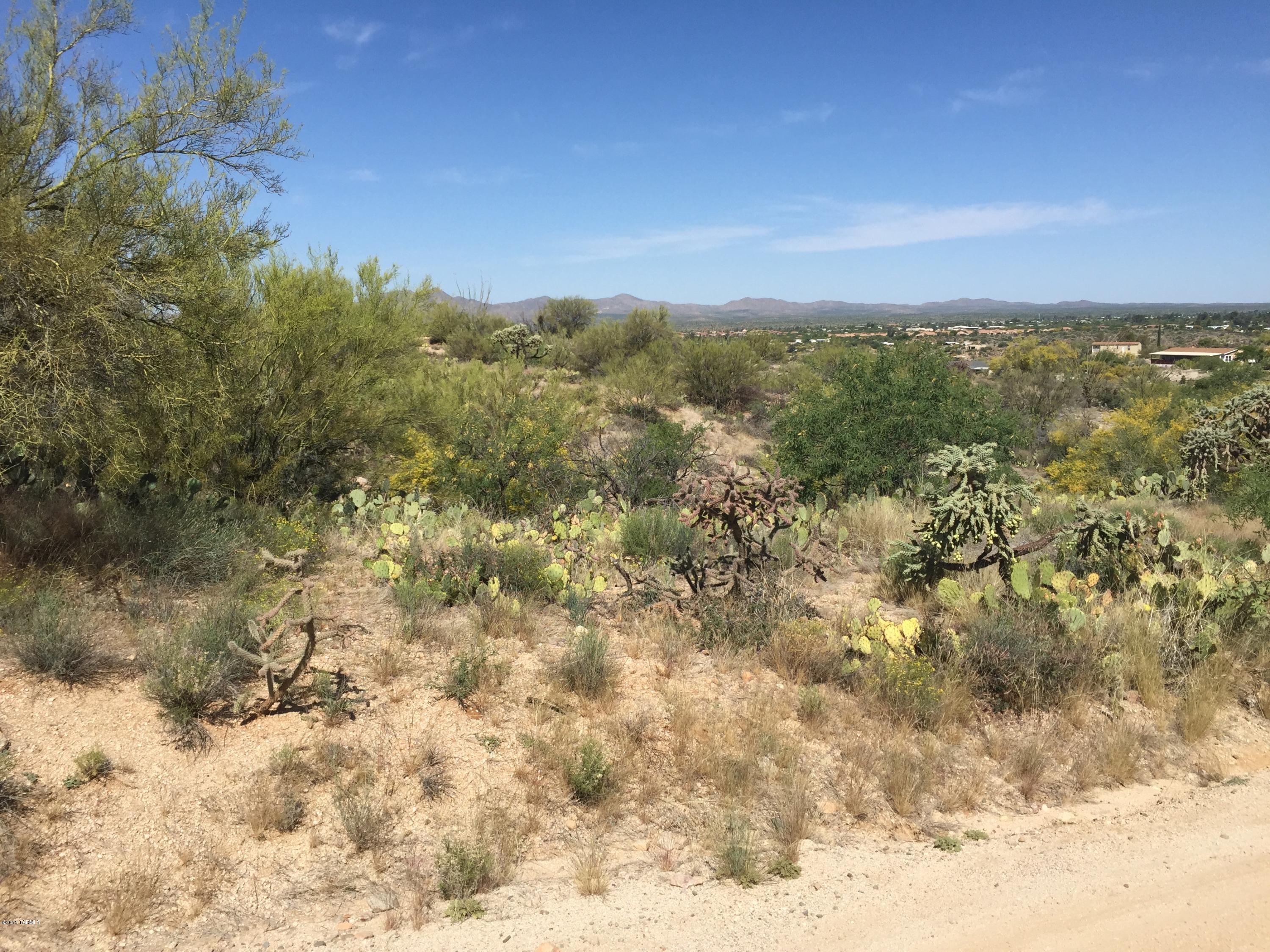 14525 North Swan Road Tucson, AZ 85739 - Photo 2 of 9 a view of a city with lush green forest