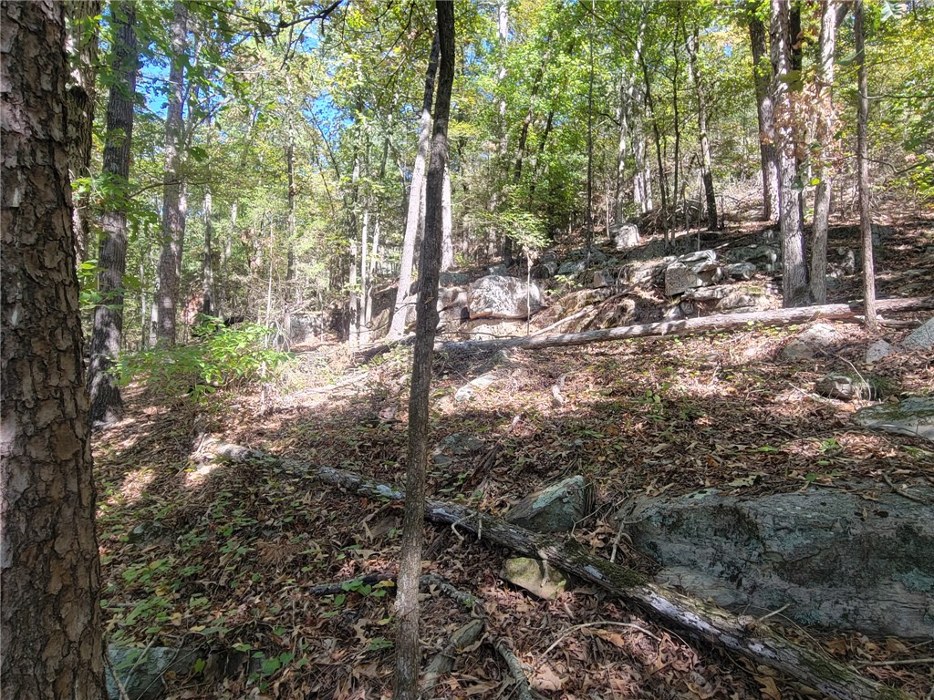2704 Private Road London, AR 72847 - Photo 15 of 19 Gallery Image 15