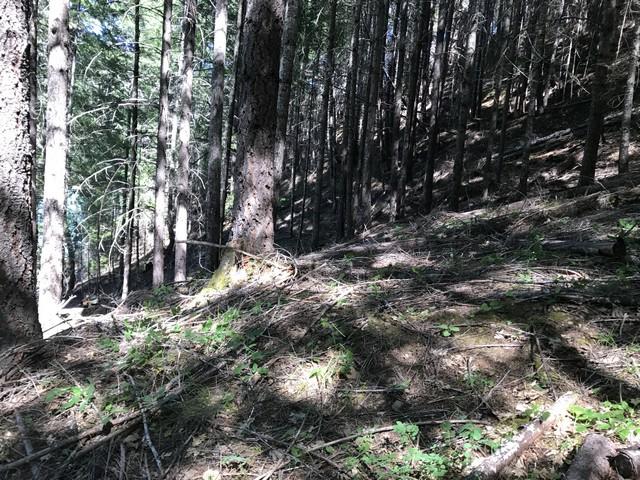 98 Ruth Lake, Unit NONE Mad River, CA 95552 - Photo 16 of 22