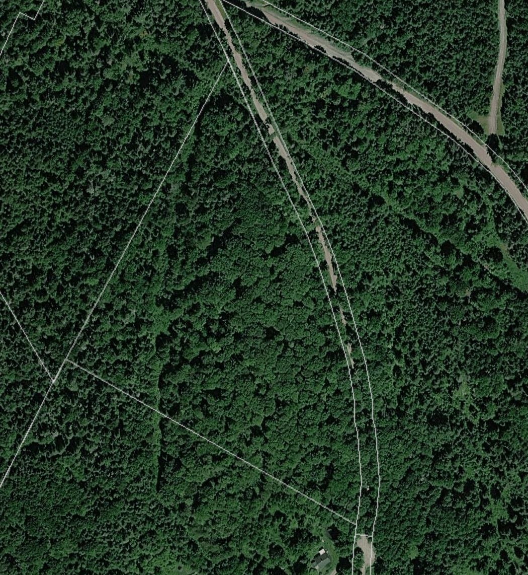 316 Last Road Cabot, VT 05647 - Photo 26 of 26
