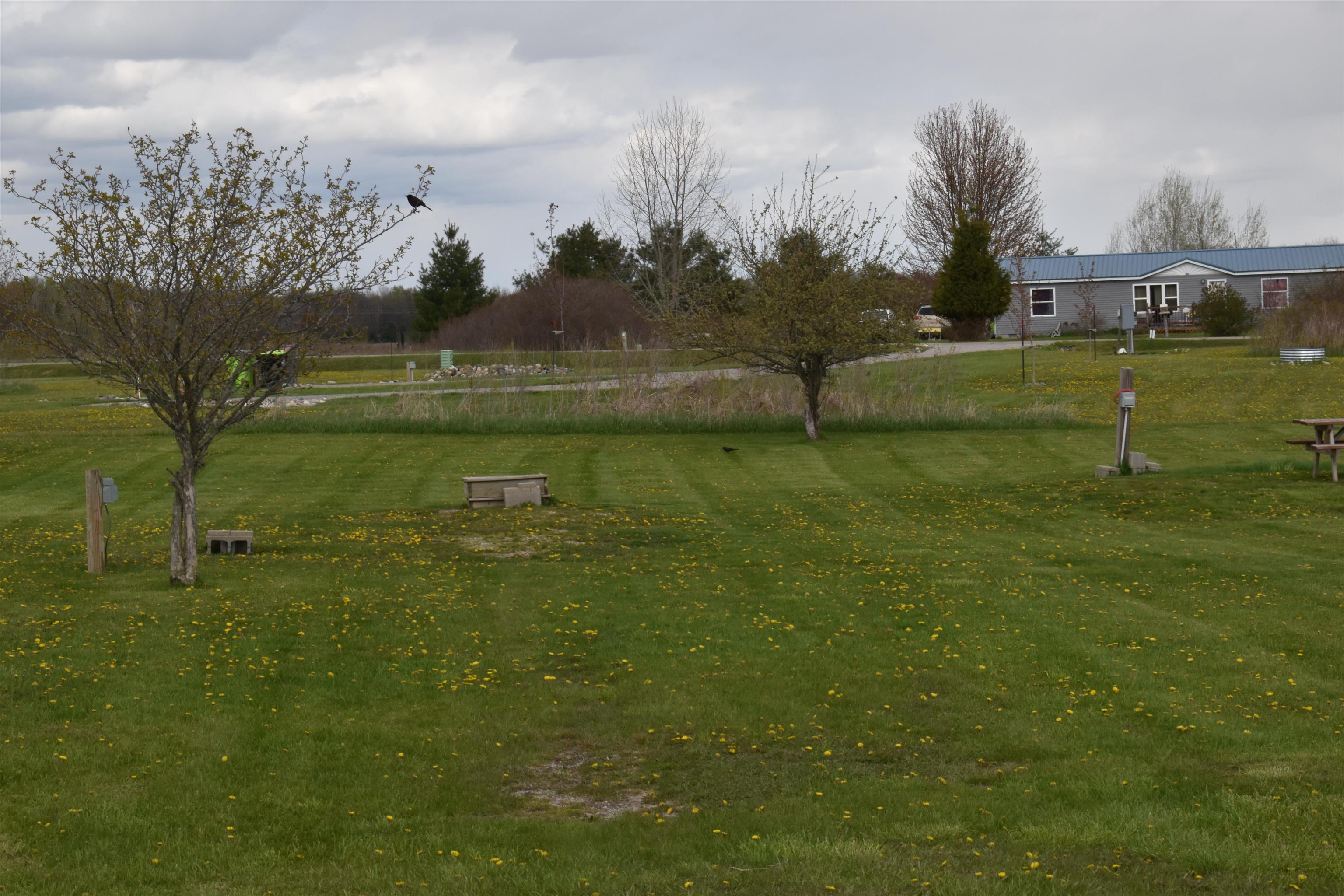 1372 Fairfield Way Gladwin, MI 48624 - Photo 4 of 10