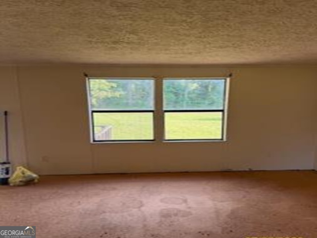 2936 Piney Grove Road Blackshear, GA 31516 - Photo 8 of 10