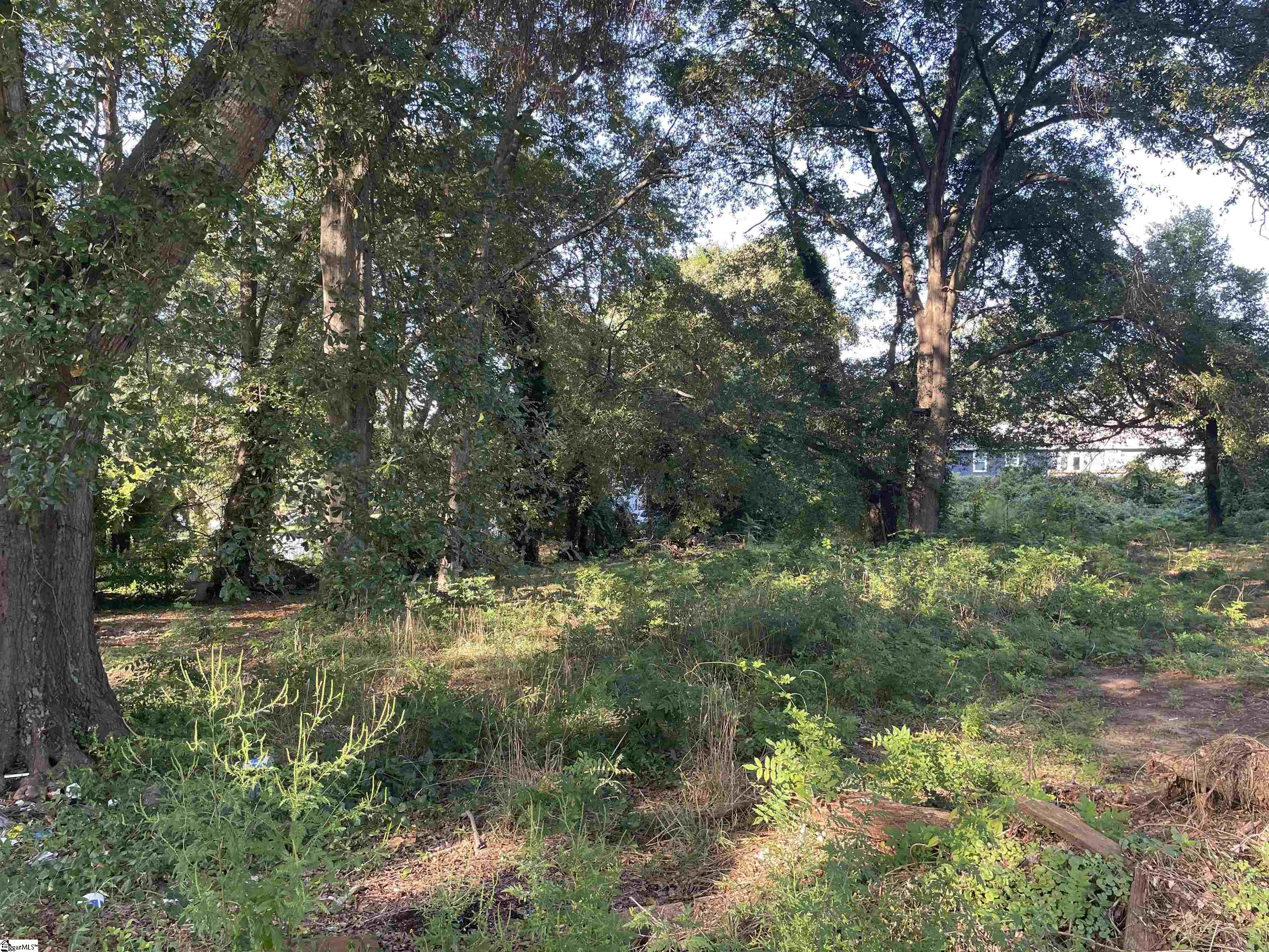 0 Hendricks St Extension, Unit LOT #32 Greenville, SC 29607 - Photo 2 of 4 Gallery Image 2