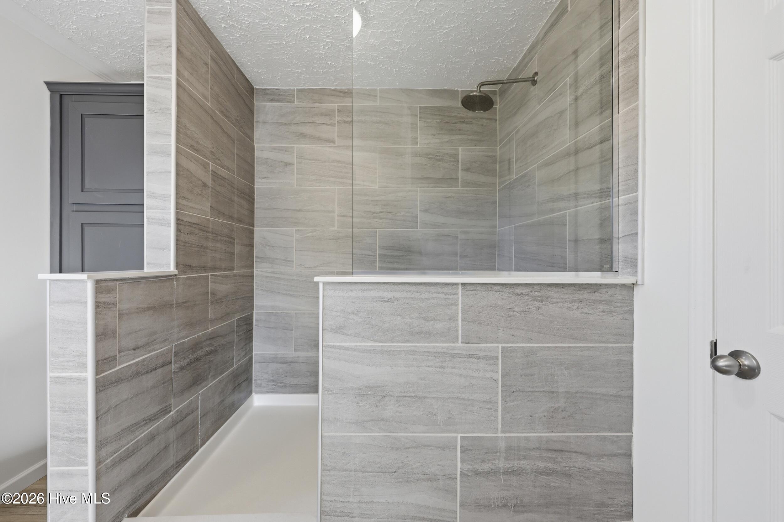 1204 Macedonia Road Edenton, NC 27932 - Photo 18 of 30 Shower