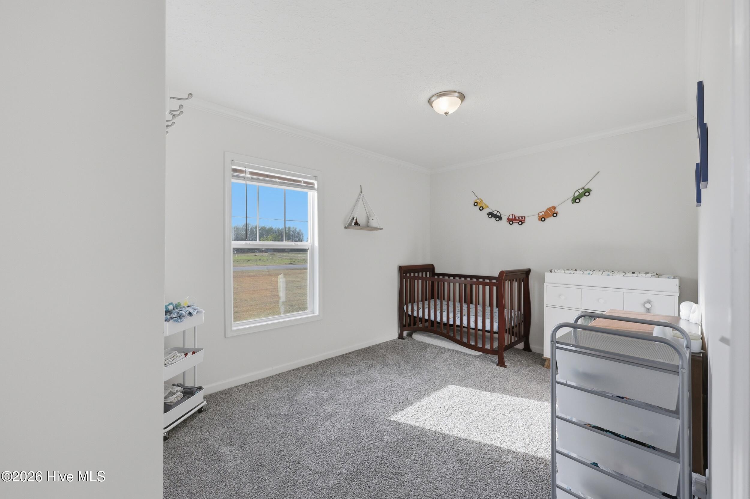 1204 Macedonia Road Edenton, NC 27932 - Photo 19 of 30 Bedroom 2