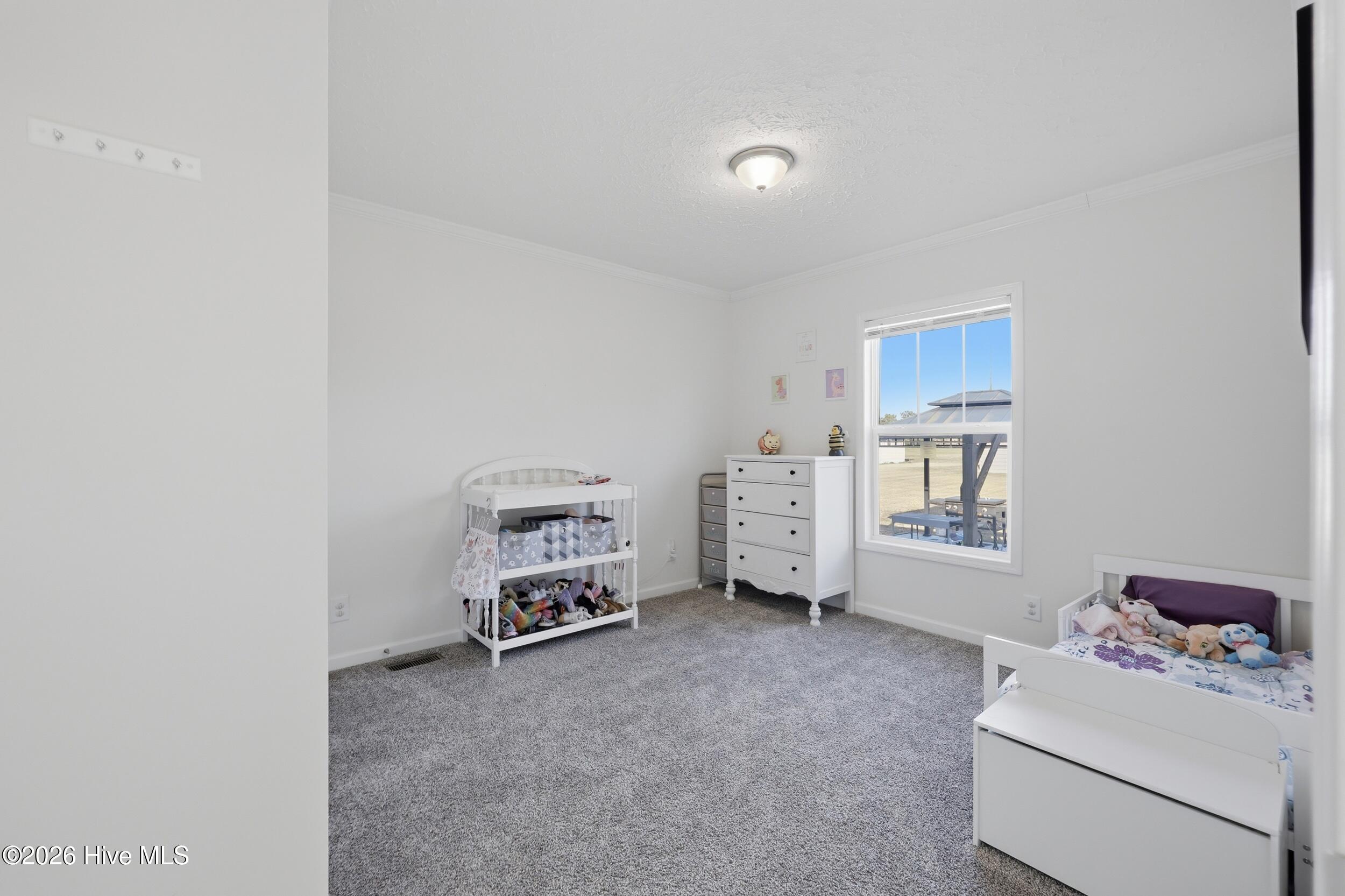 1204 Macedonia Road Edenton, NC 27932 - Photo 21 of 30 Bedroom 3