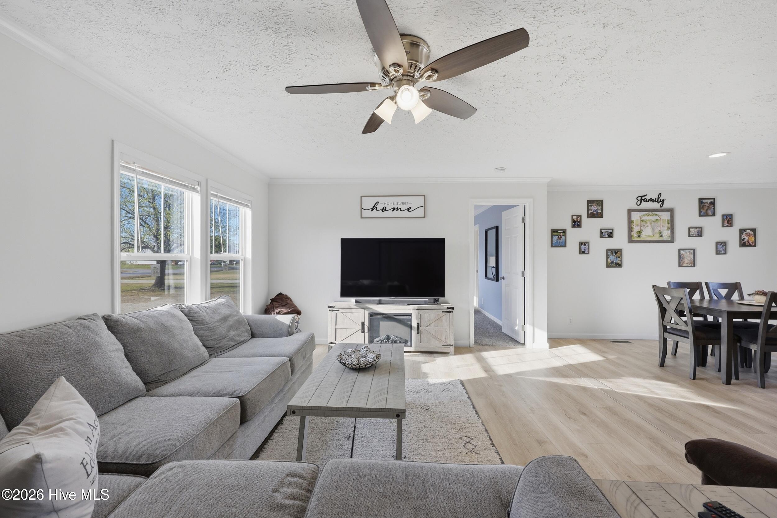 1204 Macedonia Road Edenton, NC 27932 - Photo 3 of 30 Living room