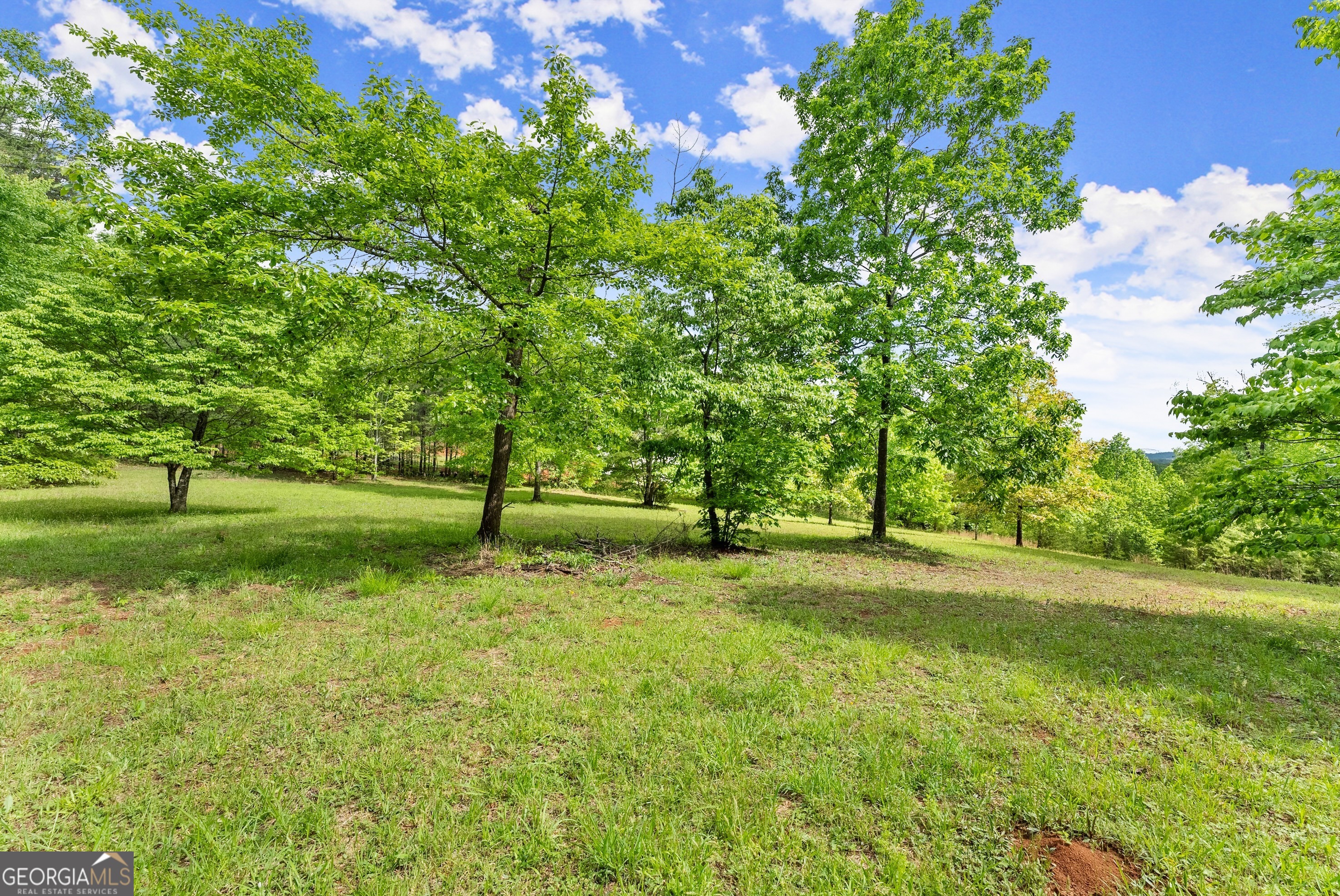 0 Sassafrass Ridge Drive Sautee Nacoochee, GA 30571 - Photo 1 of 22