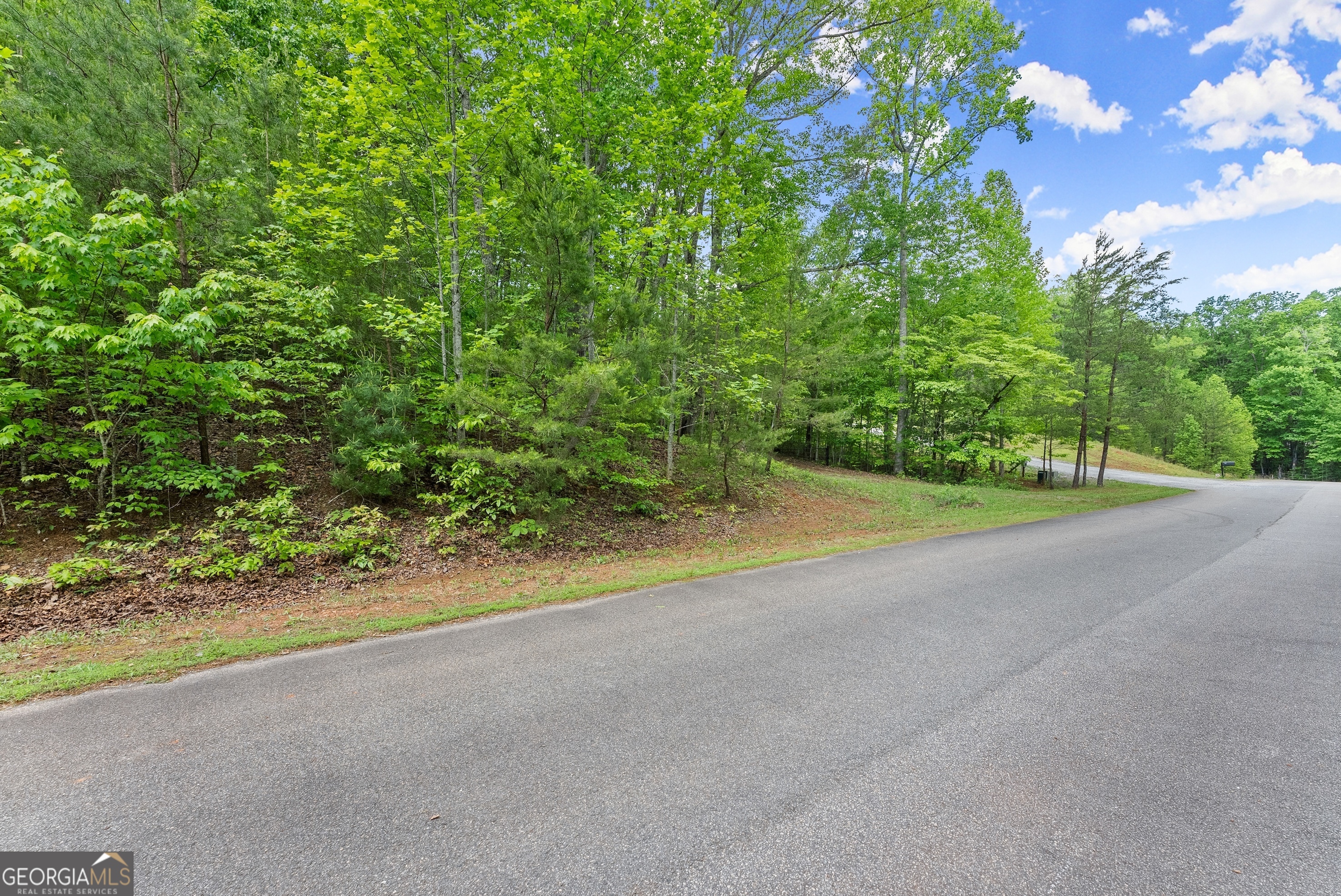 0 Sassafrass Ridge Drive Sautee Nacoochee, GA 30571 - Photo 16 of 22