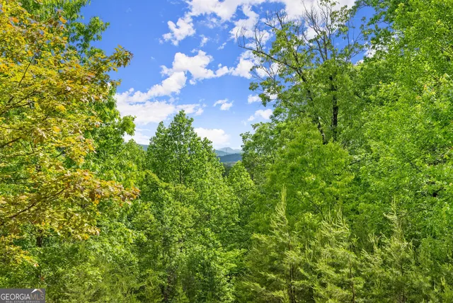 $174,900 | 0 Sassafrass Ridge Drive, Sautee Nacoochee, GA 30571