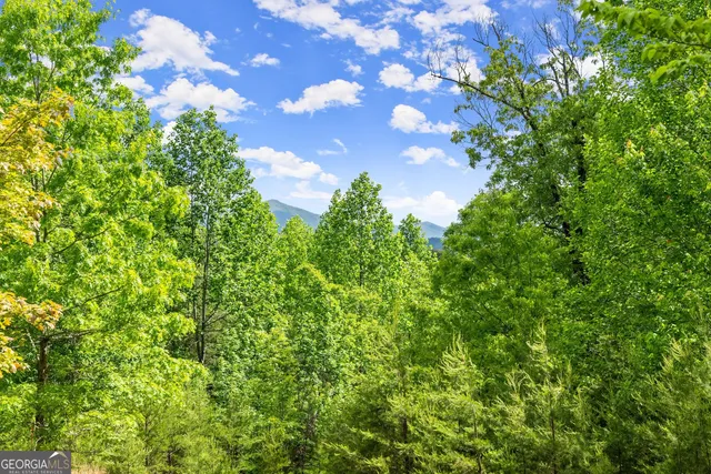 $174,900 | 0 Sassafrass Ridge Drive, Sautee Nacoochee, GA 30571