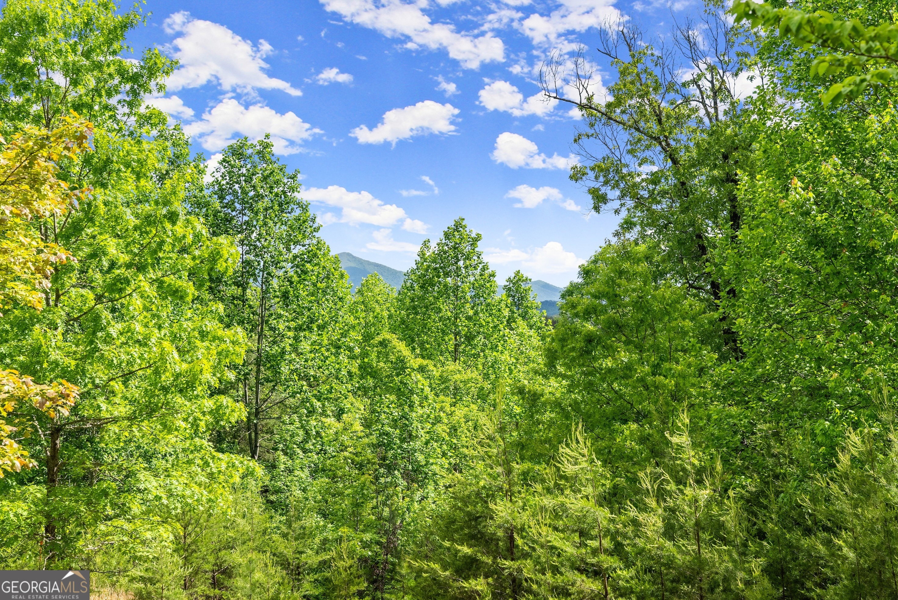 0 Sassafrass Ridge Drive Sautee Nacoochee, GA 30571 - Photo 4 of 22