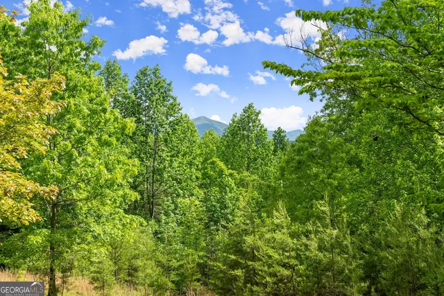 $174,900 | 0 Sassafrass Ridge Drive, Sautee Nacoochee, GA 30571