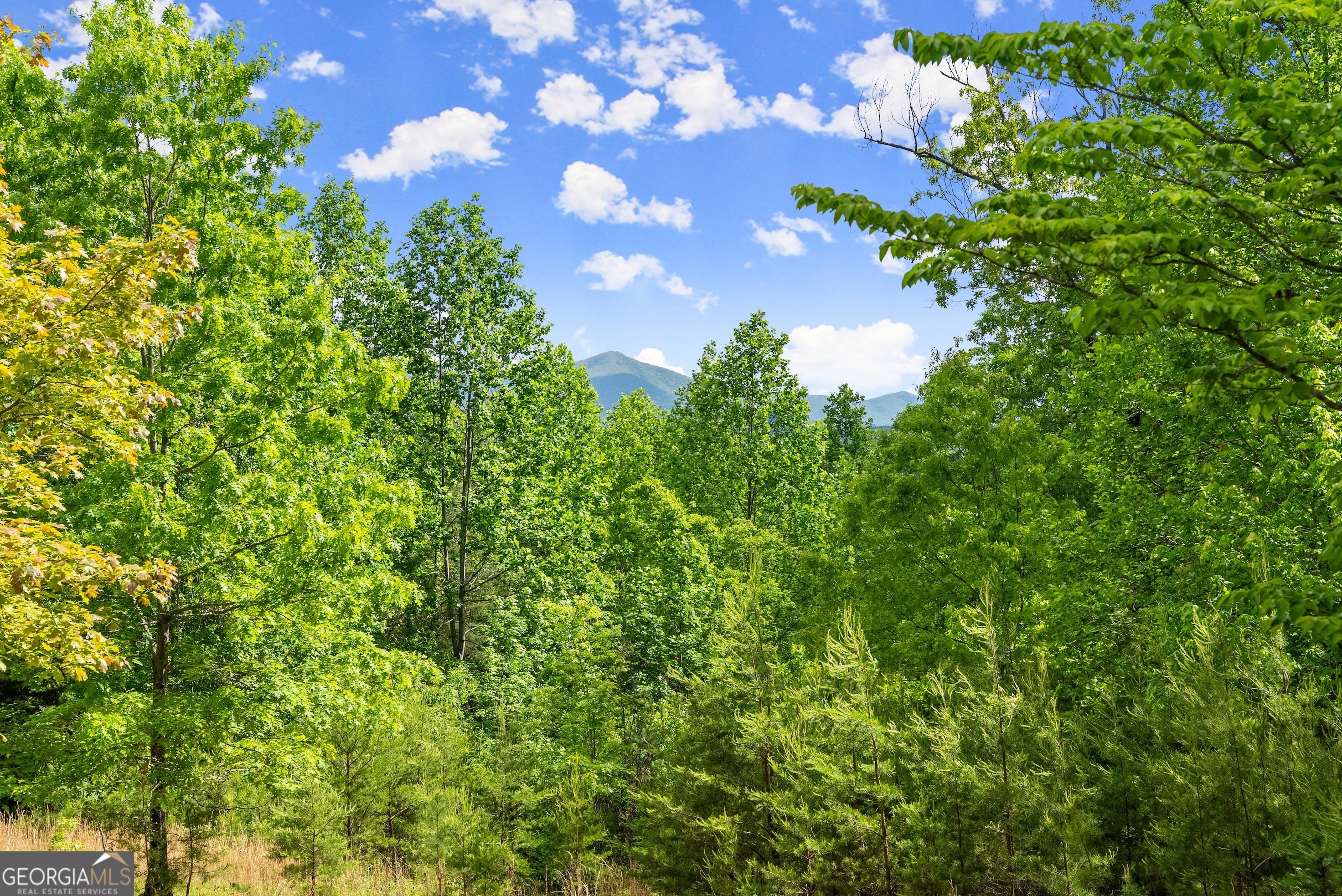 0 Sassafrass Ridge Drive Sautee Nacoochee, GA 30571 - Photo 5 of 22