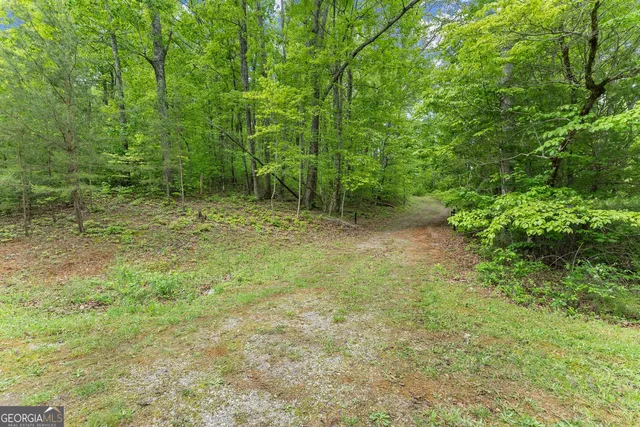 $174,900 | 0 Sassafrass Ridge Drive, Sautee Nacoochee, GA 30571