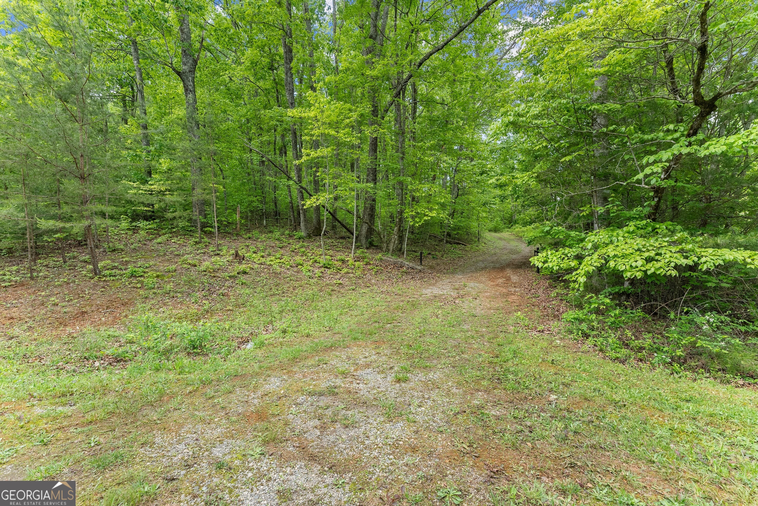 0 Sassafrass Ridge Drive Sautee Nacoochee, GA 30571 - Photo 9 of 22