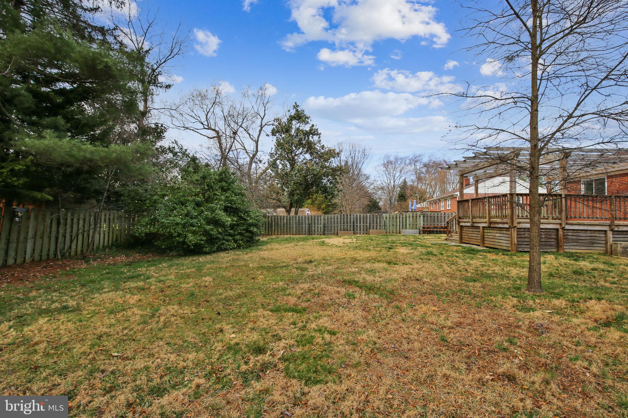 7920 Jackson Road Alexandria, VA 22308 - Photo 3 of 39 large flat backyard