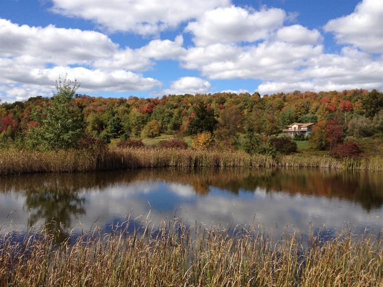783 Hamlet View Road Sidney, NY 13839 - Photo 1 of 1 Gallery Image 1