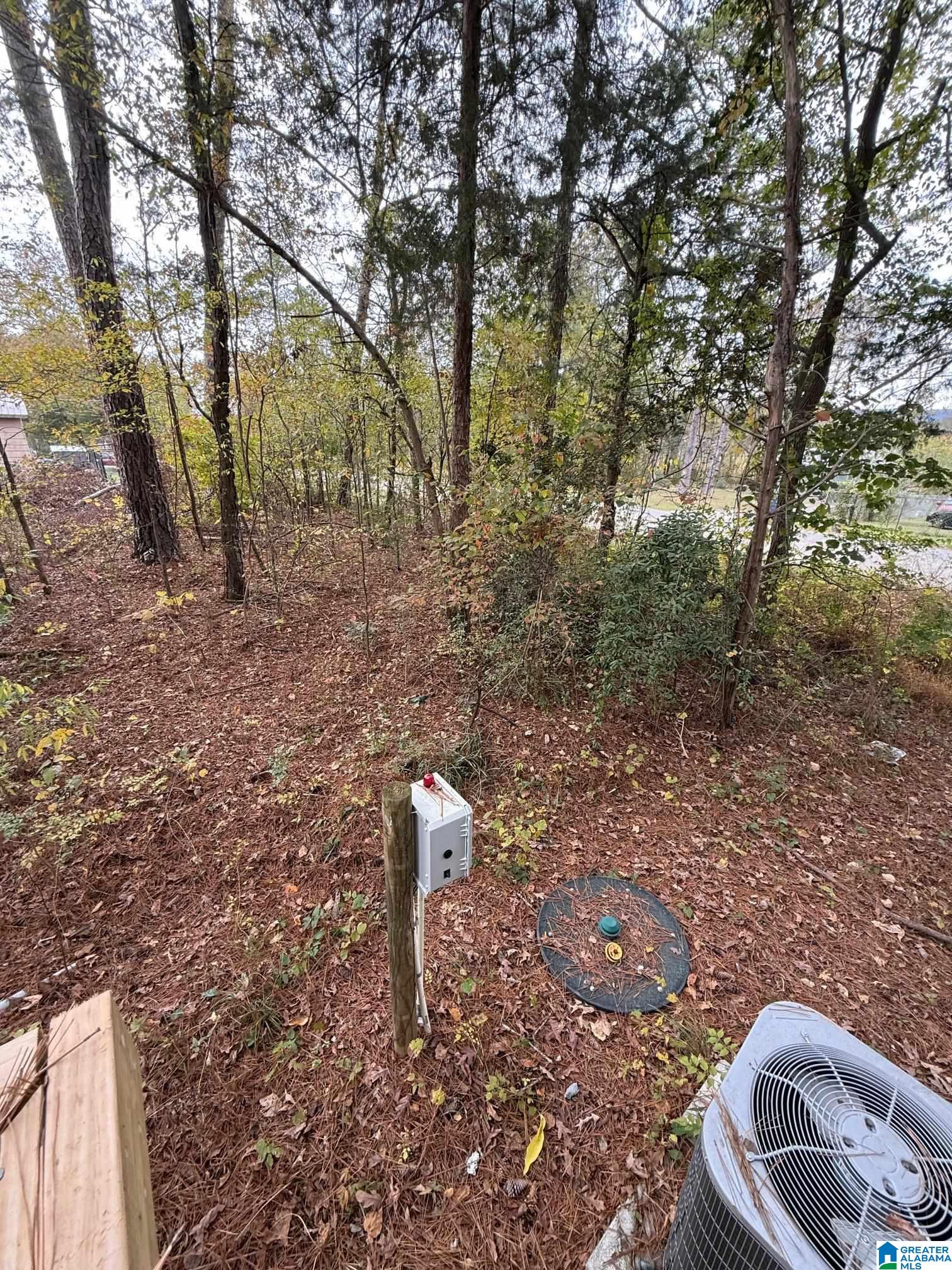 30 Allen Road Ashville, AL 35953 - Photo 16 of 21