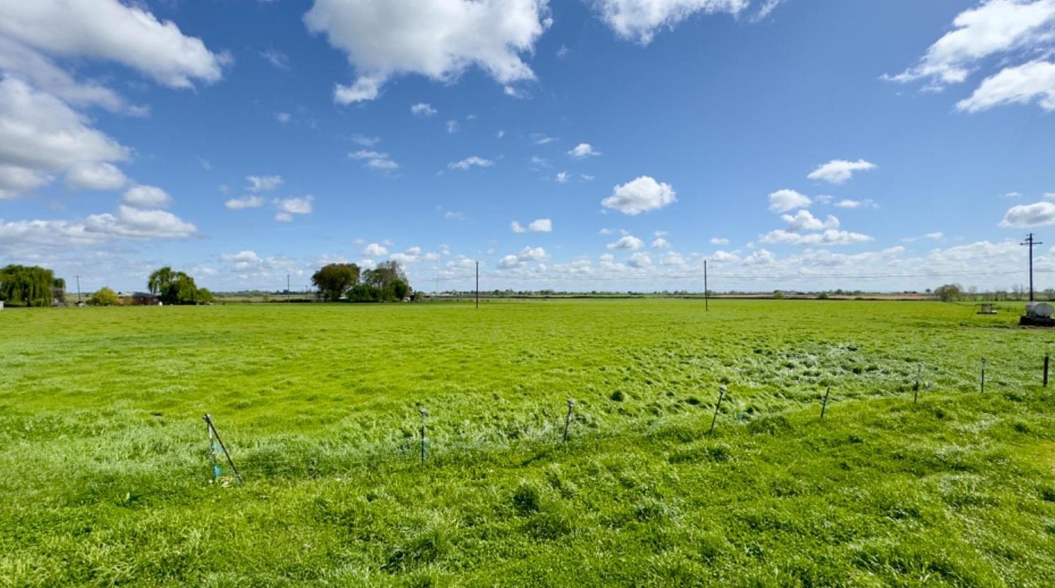 15731 Andrus Island Road Isleton, CA 95641 - Photo 33 of 36