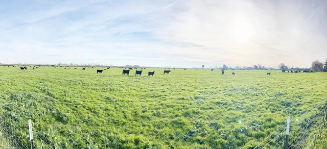 $875,000 | 15731 Andrus Island Road, Isleton, CA 95641