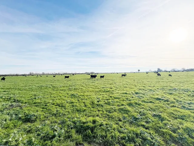 $875,000 | 15731 Andrus Island Road, Isleton, CA 95641