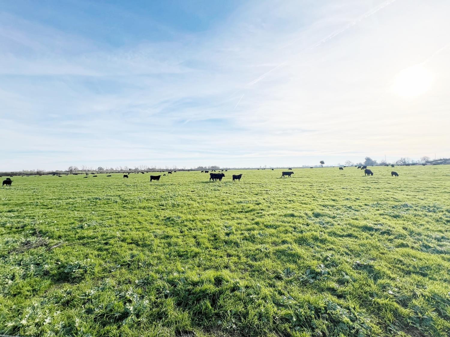15731 Andrus Island Road Isleton, CA 95641 - Photo 36 of 40 a view of a large building with garden space