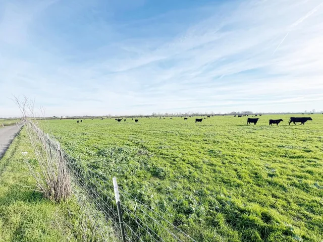 $875,000 | 15731 Andrus Island Road, Isleton, CA 95641