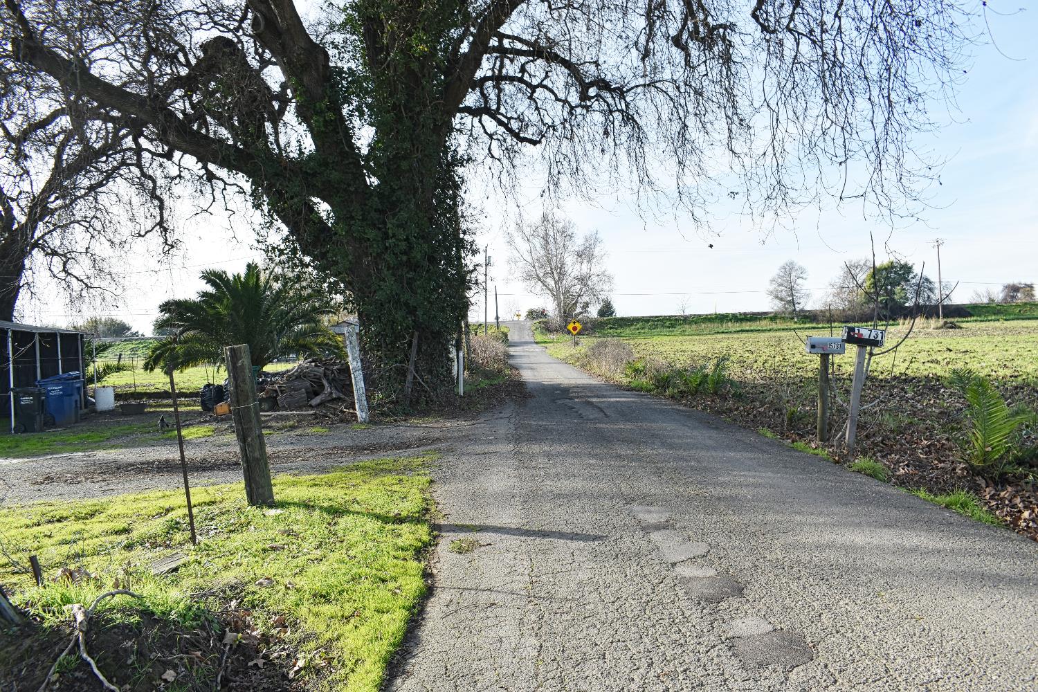 15731 Andrus Island Road Isleton, CA 95641 - Photo 40 of 40 a view of a yard with a tree