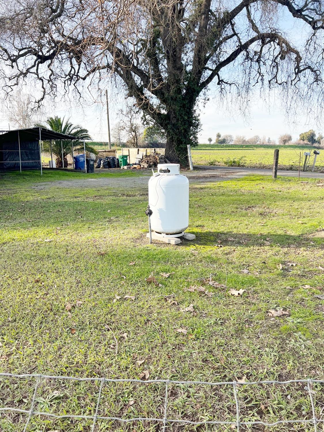 15731 Andrus Island Road Isleton, CA 95641 - Photo 4 of 40 a view of a trees and yard