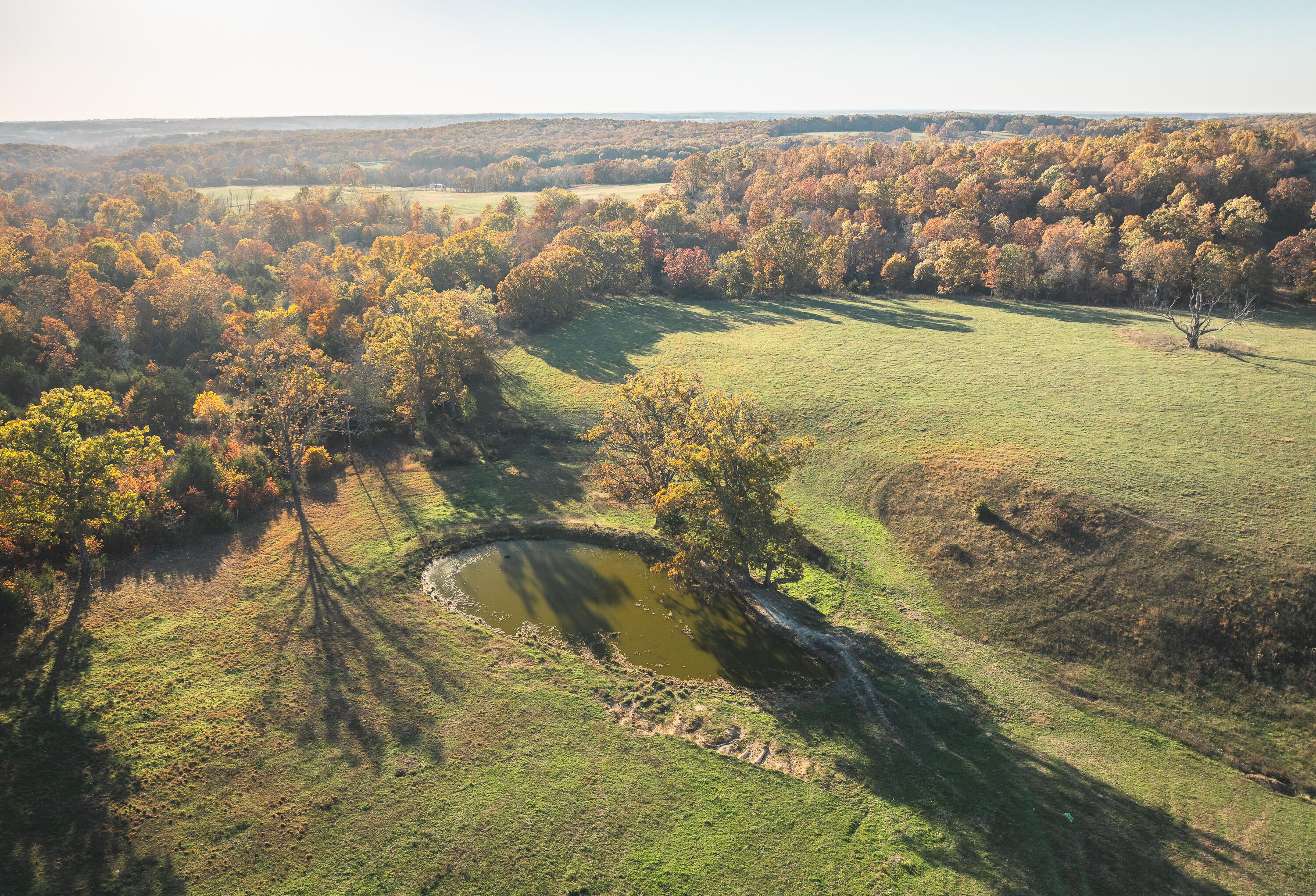 6601 County Line Road Graff, MO 65660 - Photo 8 of 60 DJI_20251105094649_0193_D