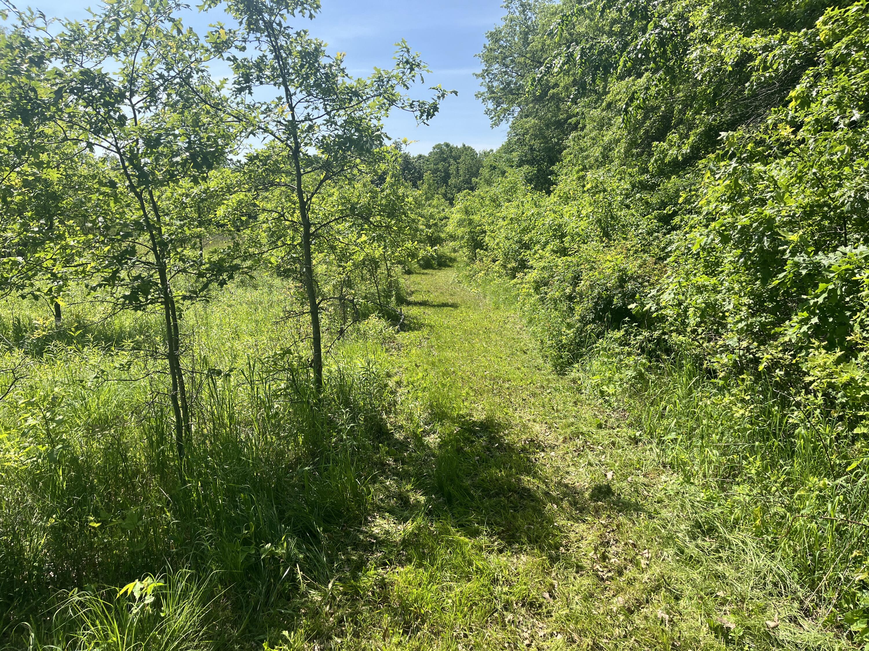 0 Boundary Road Richwood, OH 43344 - Photo 12 of 32