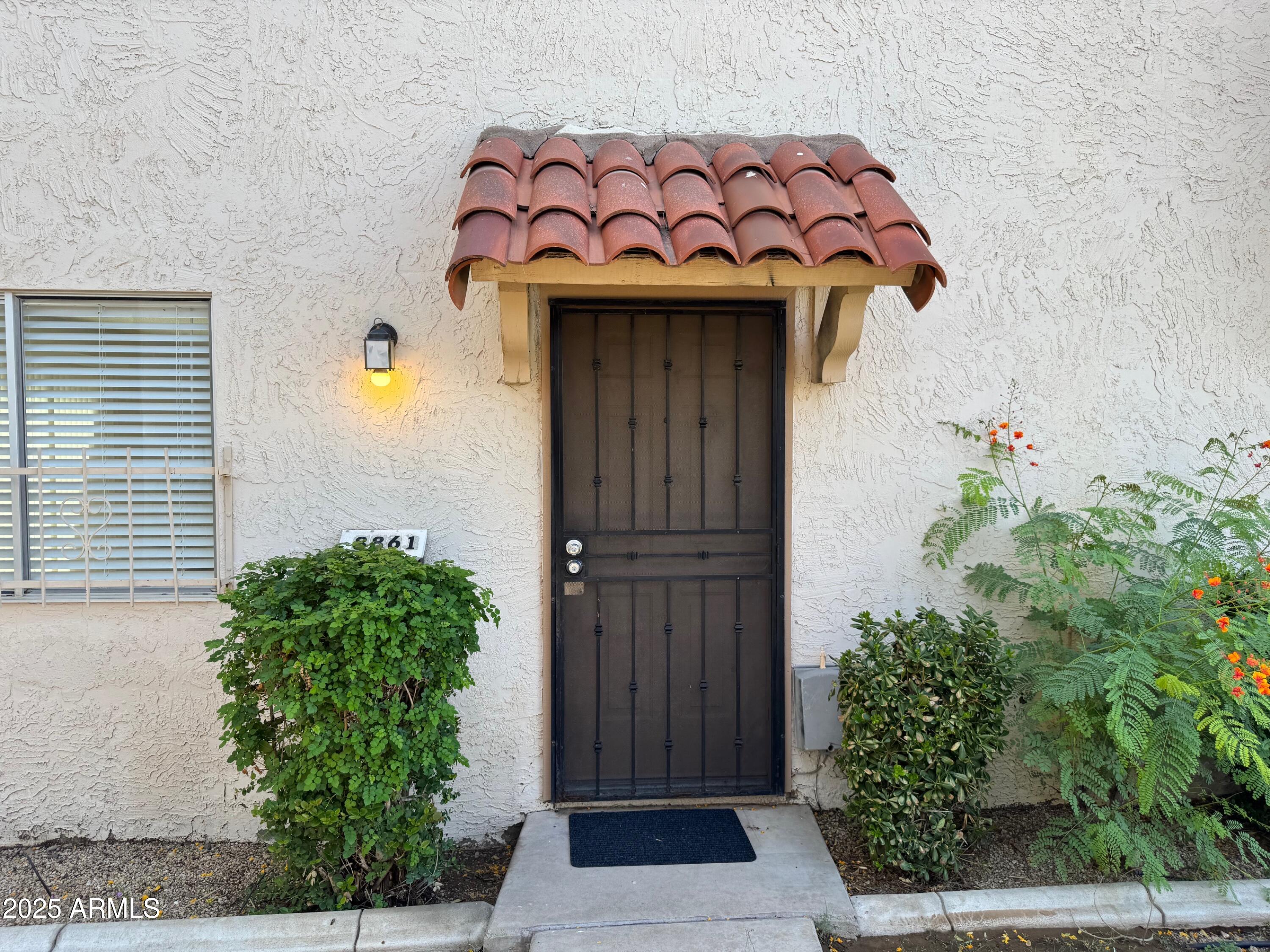 a view of a wooden door with a potted plant