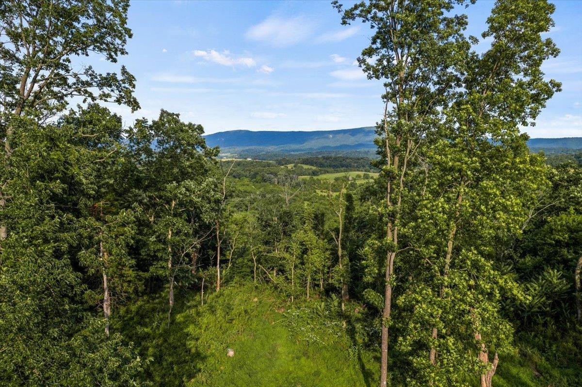 0 Rodeo Drive Harrisonburg, VA 22802 - Photo 11 of 15 a view of a garden