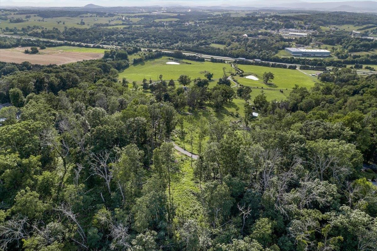 0 Rodeo Drive Harrisonburg, VA 22802 - Photo 13 of 15 an aerial view of residential houses with outdoor space and river