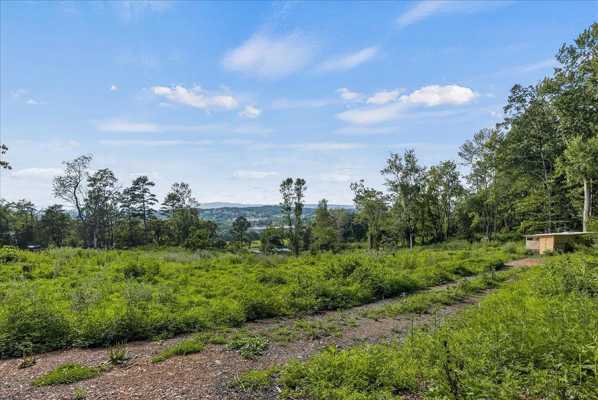 0 Rodeo Drive Harrisonburg, VA 22802 - Photo 6 of 15 a view of a city with lush green forest