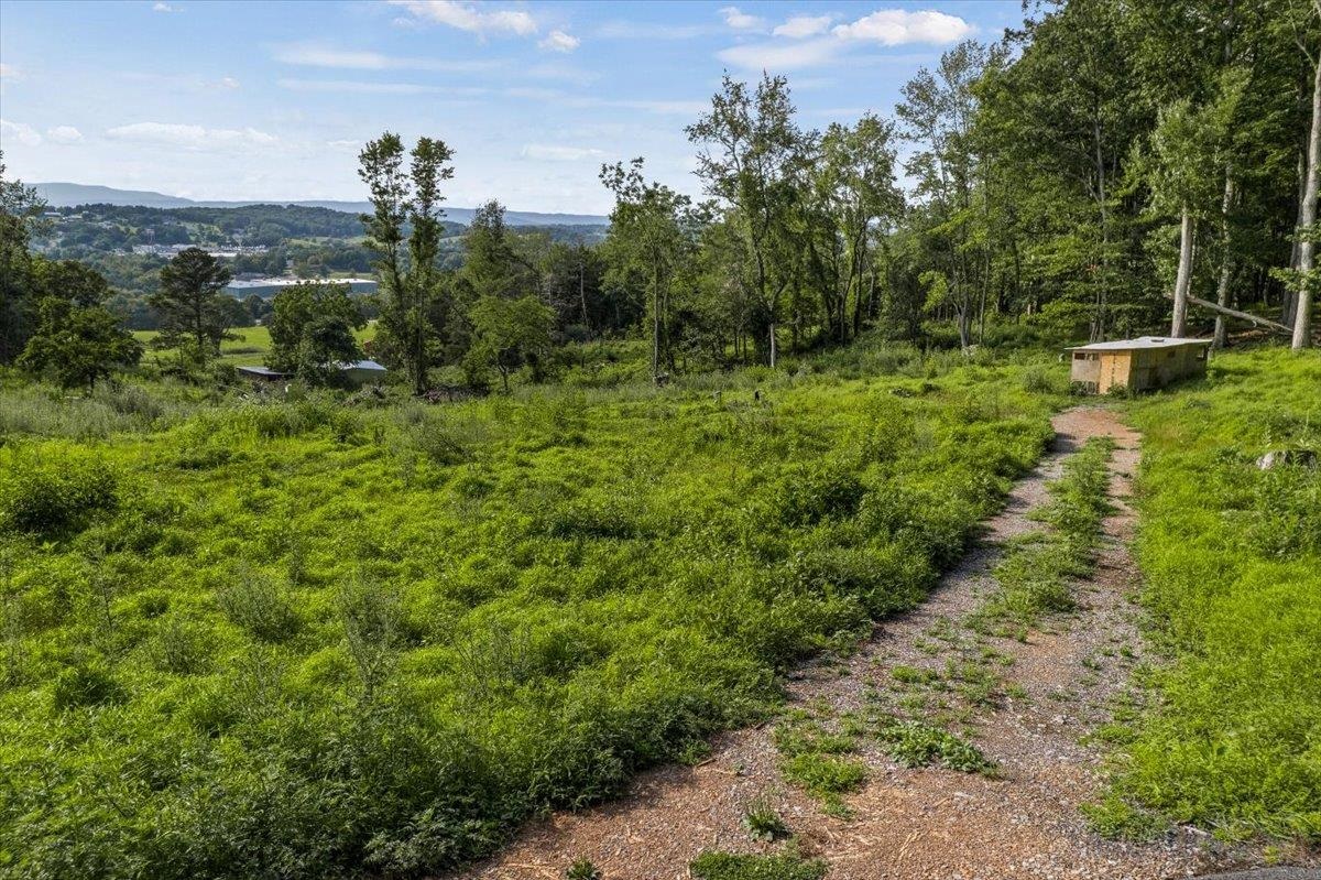 0 Rodeo Drive Harrisonburg, VA 22802 - Photo 7 of 15 a view of a garden with trees